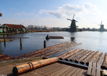 Willem 137